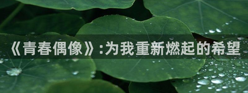 蓝狮在线注册平台官网：《青春偶像》:为我重新燃起的希望