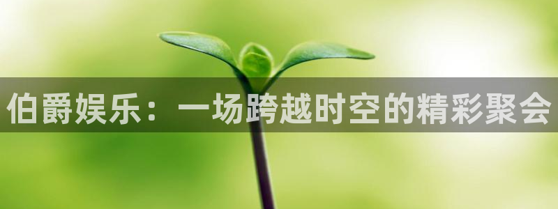 蓝狮在线邀请码怎么获得：伯爵娱乐：一场跨越时空的精彩聚会