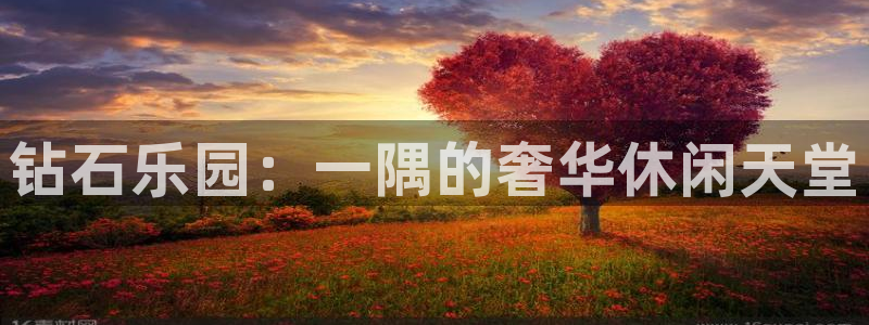 蓝狮在线游戏怎么注册：钻石乐园：一隅的奢华休闲天堂