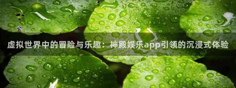蓝狮在线的钱能提出来吗：虚拟世界中的冒险与乐趣：神殿娱乐app引领的沉浸式体验