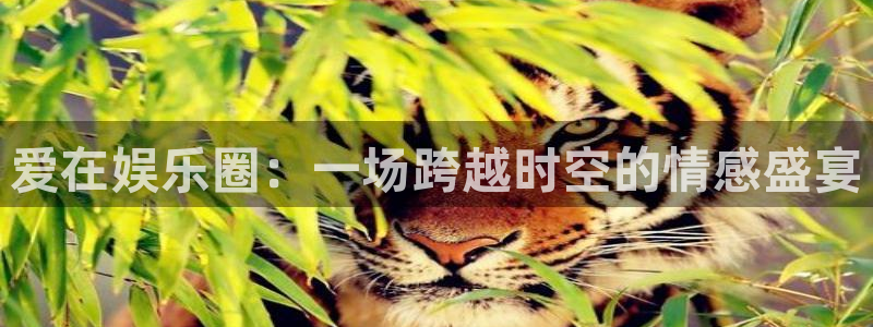 蓝狮在线游戏怎么注册：爱在娱乐圈：一场跨越时空的情感盛宴