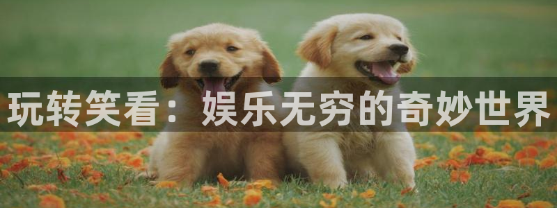 蓝狮在线登录注册账号
