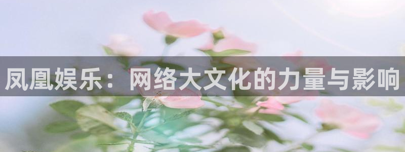 蓝狮在线邀请码怎么获得：凤凰娱乐：网络大文化的力量与影响
